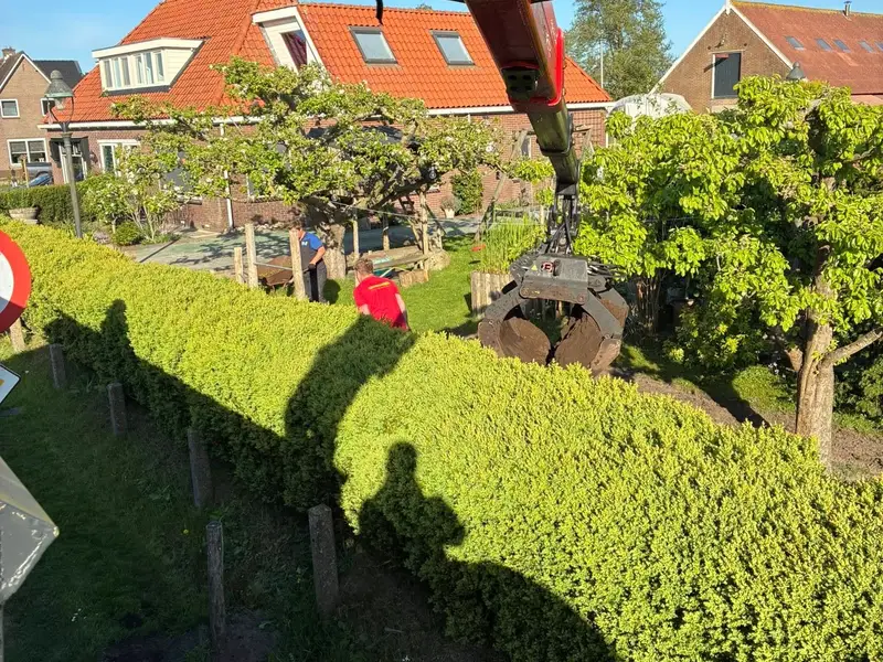 Aanleg van een terras — foto 3